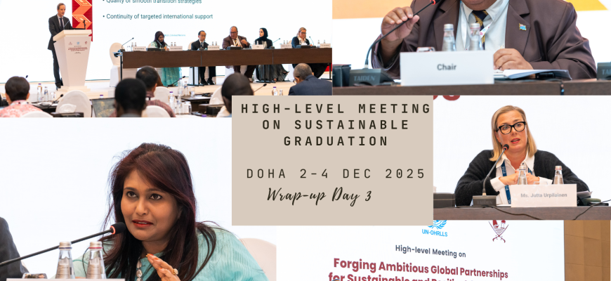 High-level meeting on sustainable development